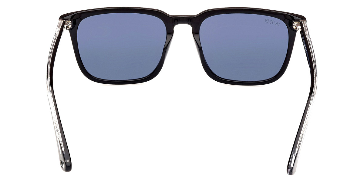 Солнцезащитные очки WEB EYEWEAR 0369 01V