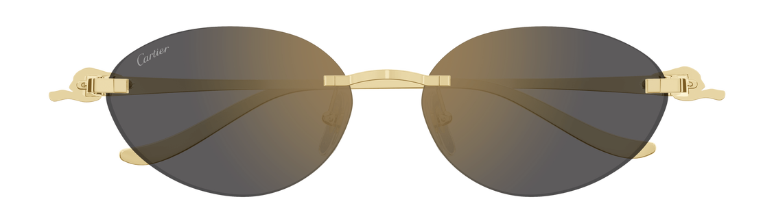 Солнцезащитные очки Cartier CT0504S-001