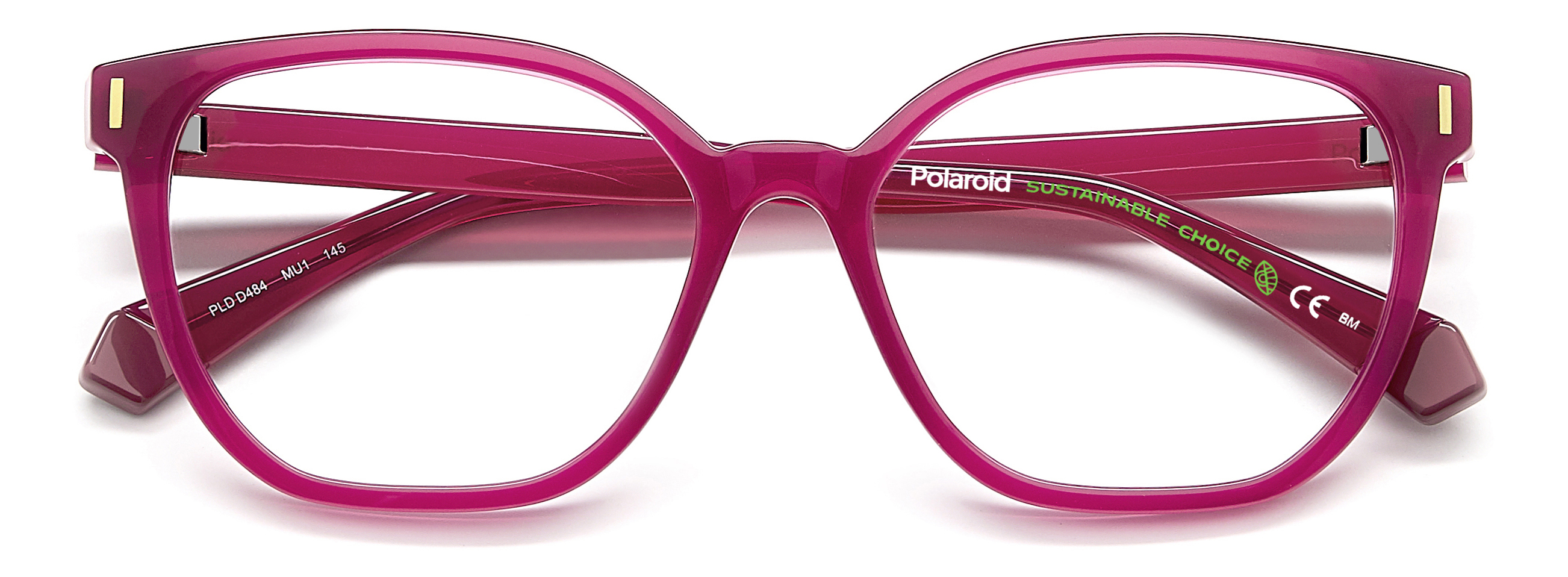 Оправа Polaroid PLD D484 MU1