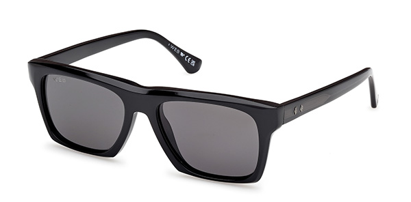 Солнцезащитные очки WEB EYEWEAR 0382 05D,