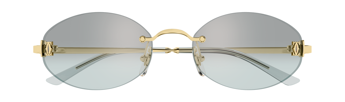 Солнцезащитные очки Cartier CT0592S-004