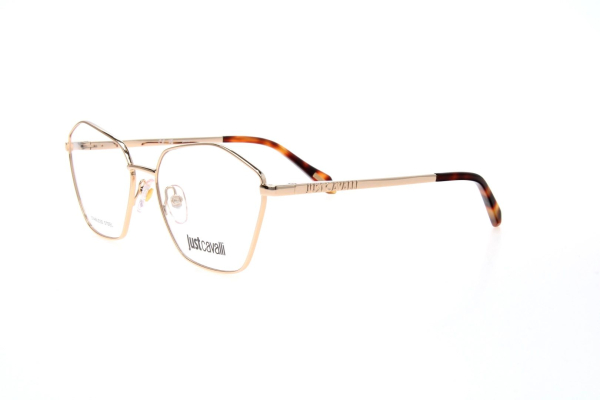 Оправа Just Cavalli 073 300 Оправа Just Cavalli 073 300