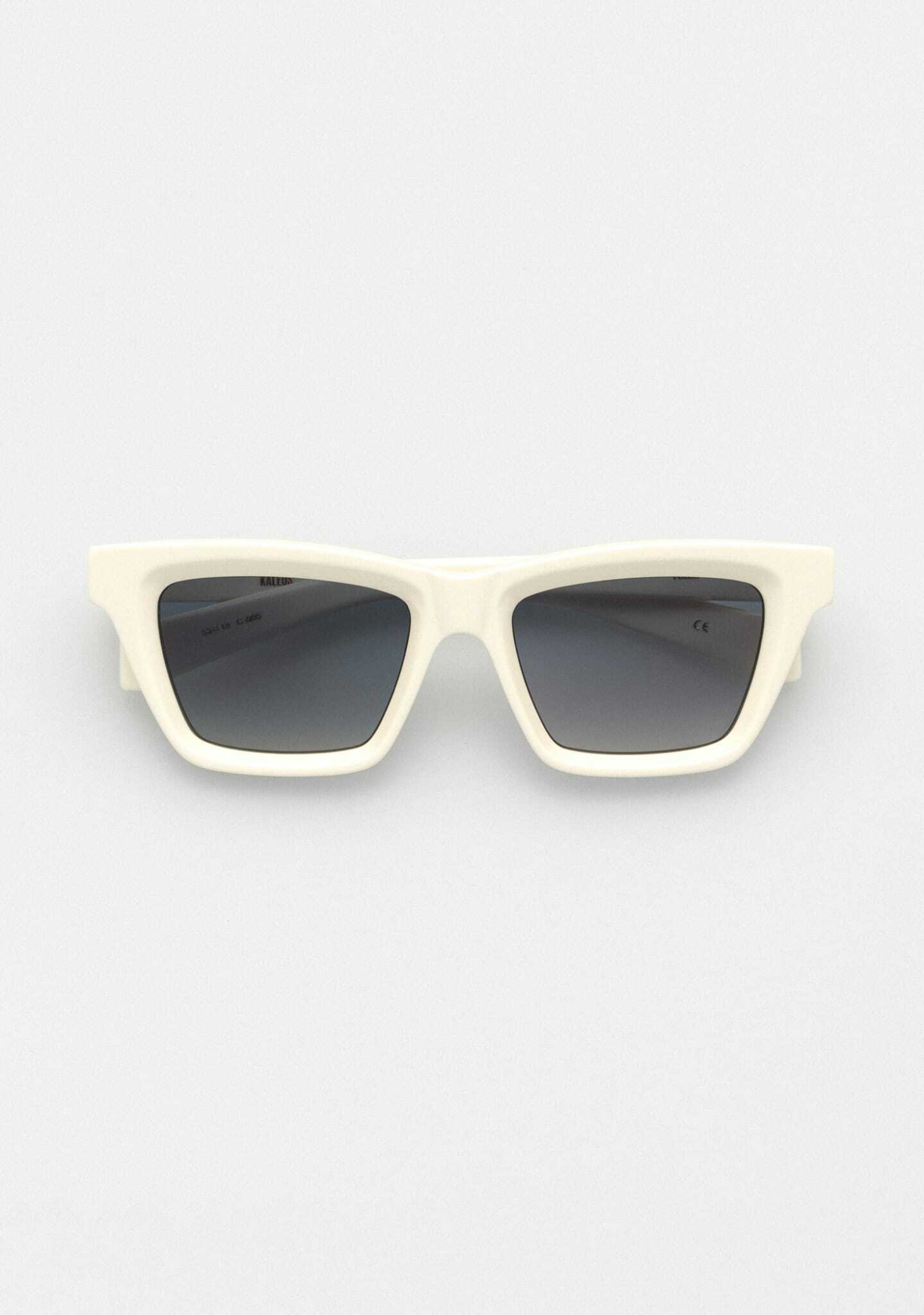 Солнцезащитные очки Kaleos Ritter C-005