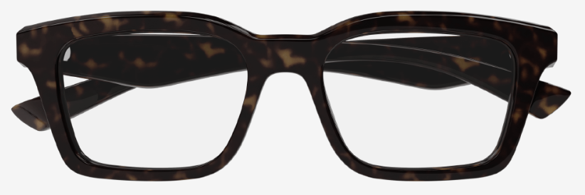 Оправа Alexander McQueen AM0476O-002