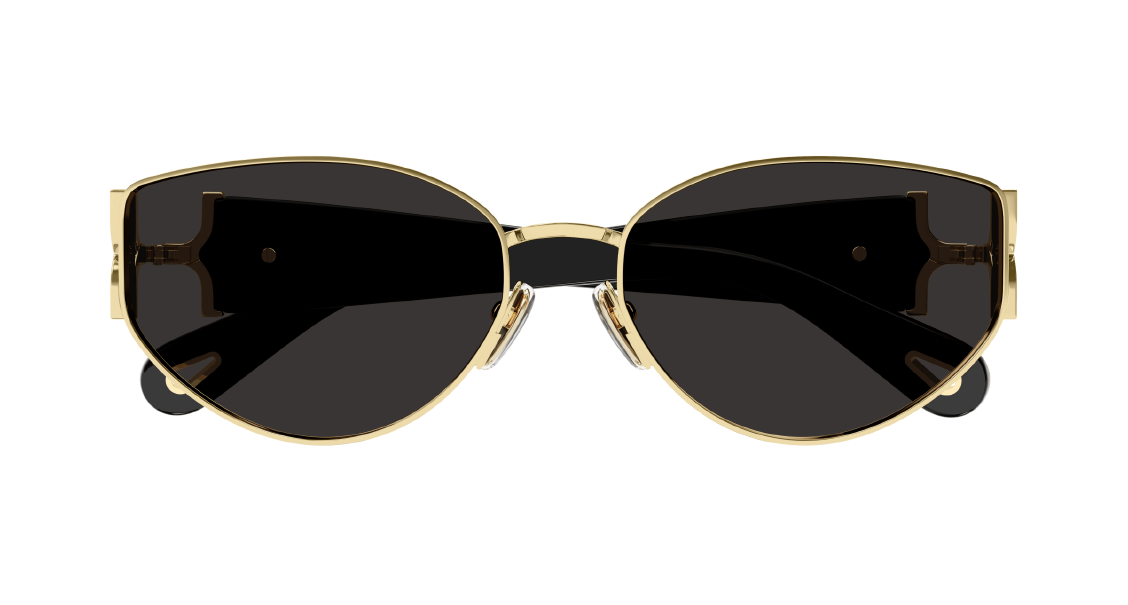 Солнцезащитные очки Chloe CH0260S-001