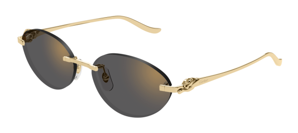 Солнцезащитные очки Cartier CT0504S-001 Солнцезащитные очки Cartier CT0504S-001