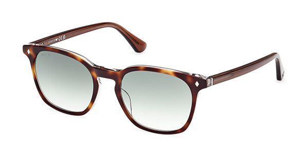 Солнцезащитные очки WEB EYEWEAR 0364 56Р Солнцезащитные очки WEB EYEWEAR 0364 56Р
