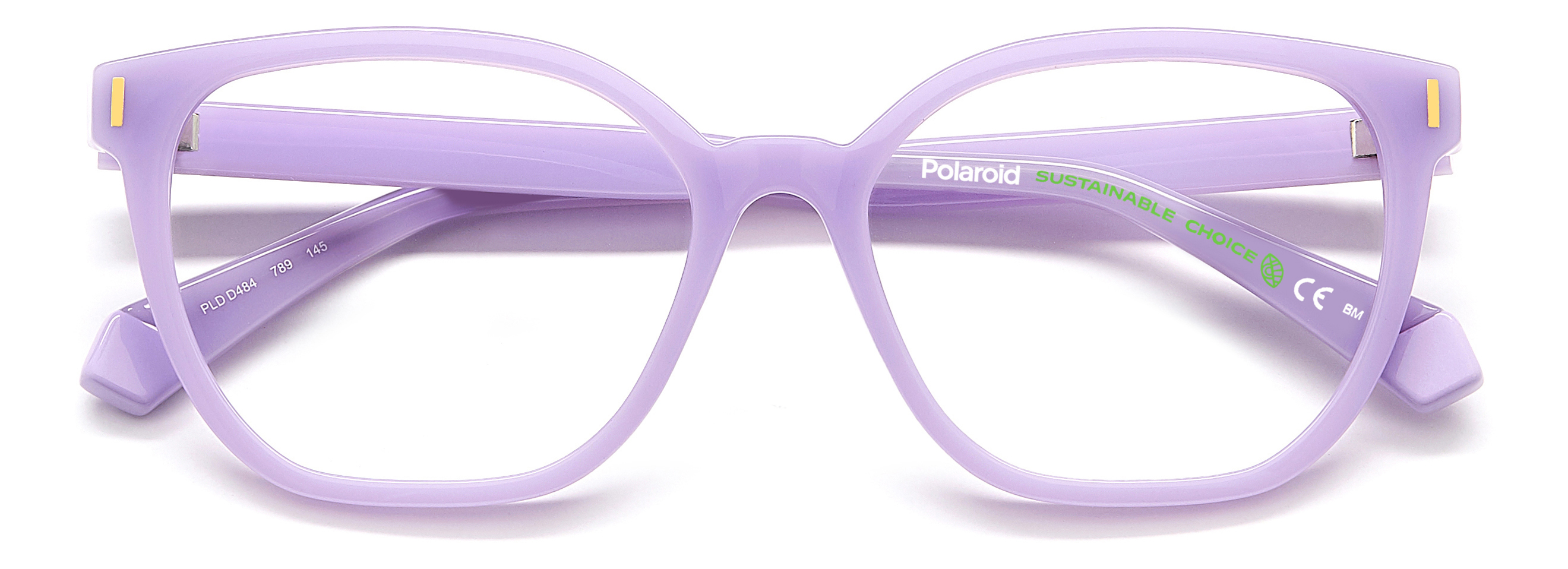 Оправа Polaroid PLD D484 789