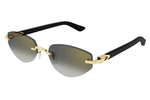 Солнцезащитные очки Cartier CT0580S-001 Солнцезащитные очки Cartier CT0580S-001
