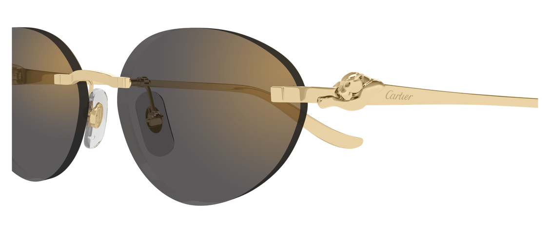 Солнцезащитные очки Cartier CT0504S-001