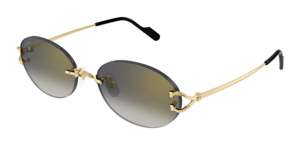 Солнцезащитные очки Cartier CT0551S-001 Солнцезащитные очки Cartier CT0551S-001