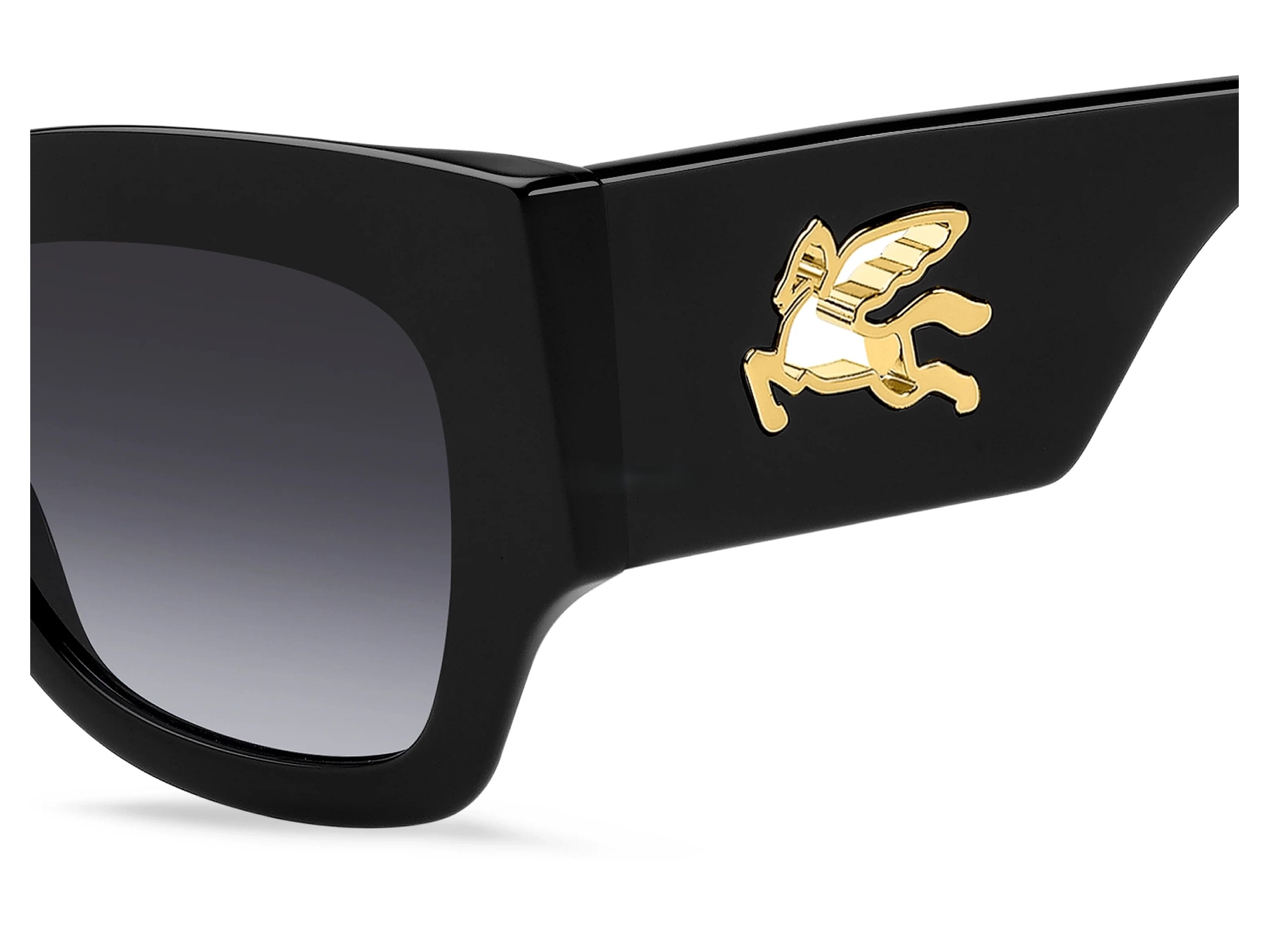 Солнцезащитные очки ETRO 0076/S 807