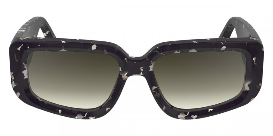 Солнцезащитные очки Victoria Beckham V670S  010