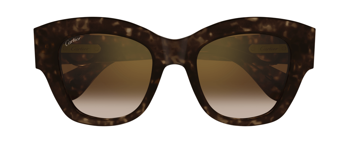 Солнцезащитные очки Cartier CT0547S-002