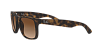 Солнцезащитные очки Ray-Ban RB 4165 710/1355