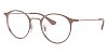 Оправа Ray-Ban 0RX 6378-2973 47