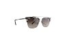 Солнцезащитные очки DSQUARED DQ 0250 20P 54