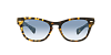 Солнцезащитные очки Ray-Ban RB 2201-13323F54