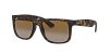 Солнцезащитные очки  Ray-Ban RB 4165-865/Т555