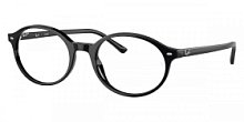 Оправа Ray-Ban 0RX 5429-2000 51