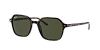 Солнцезащитные очки Ray-Ban RB 2194-902/3153